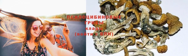 мет Нязепетровск