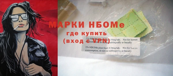 соль ск Няндома