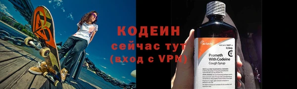 соль ск Няндома
