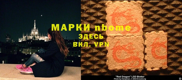 соль ск Няндома